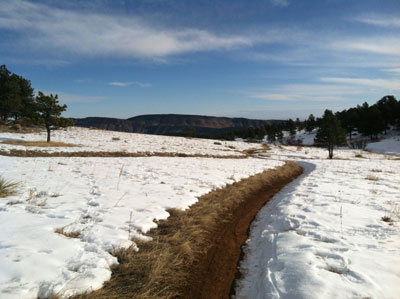 Trail Running in Snow