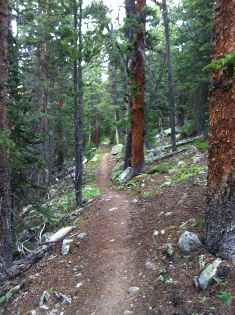 View of trail on Kenosha Pass