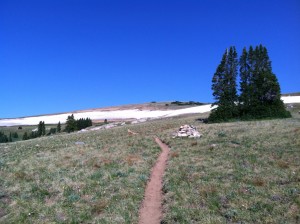 Georgia Pass summit