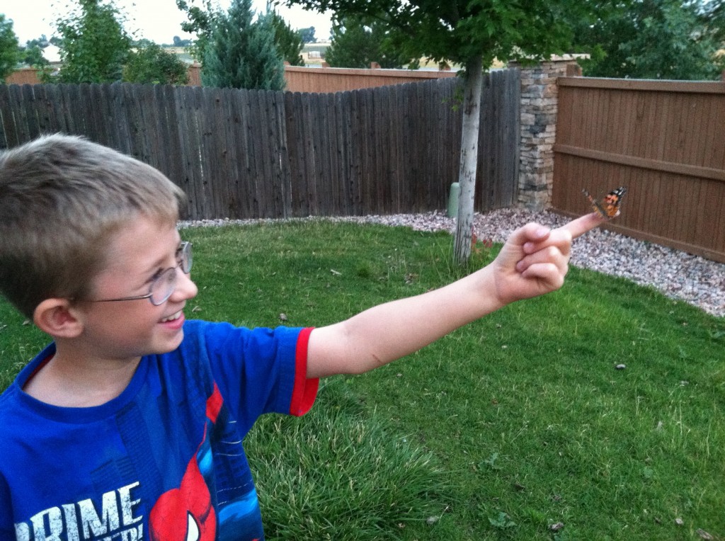 Releasing the butterflies