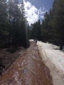 Leadville Mountains in May