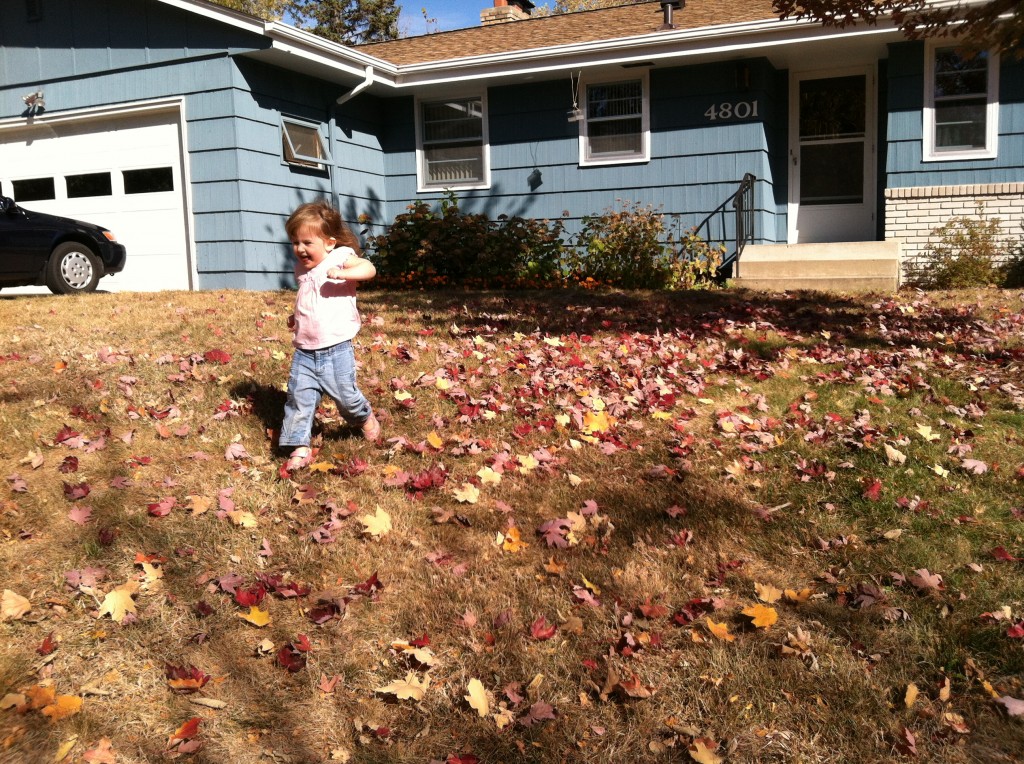 Running through the leaves