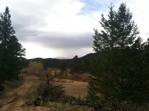 Elk Ranch trails
