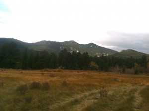 Fields of Elk Ranch