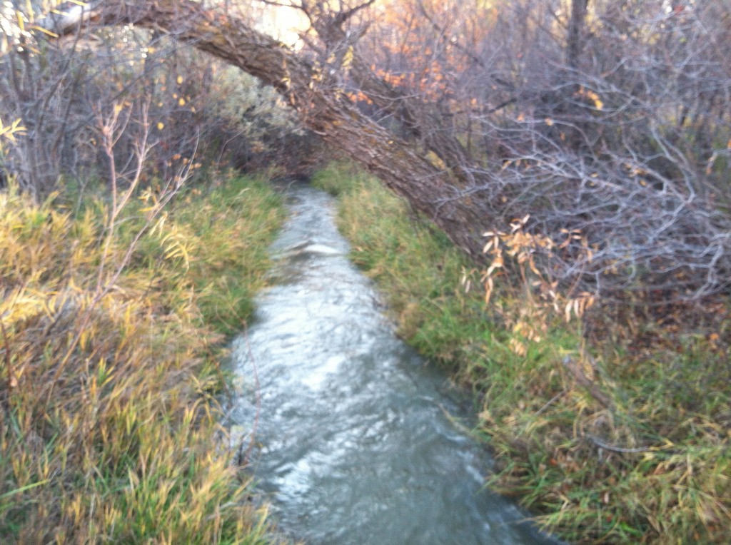 A trickling stream signaling winter