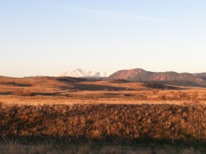 Greenland Trail Open Space