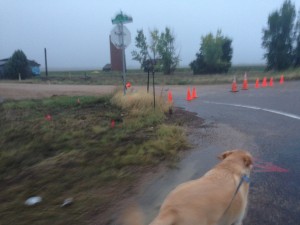 Colorado Flooding - Road Closed