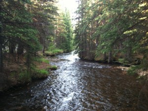 View up stream on Kenosha Pass run