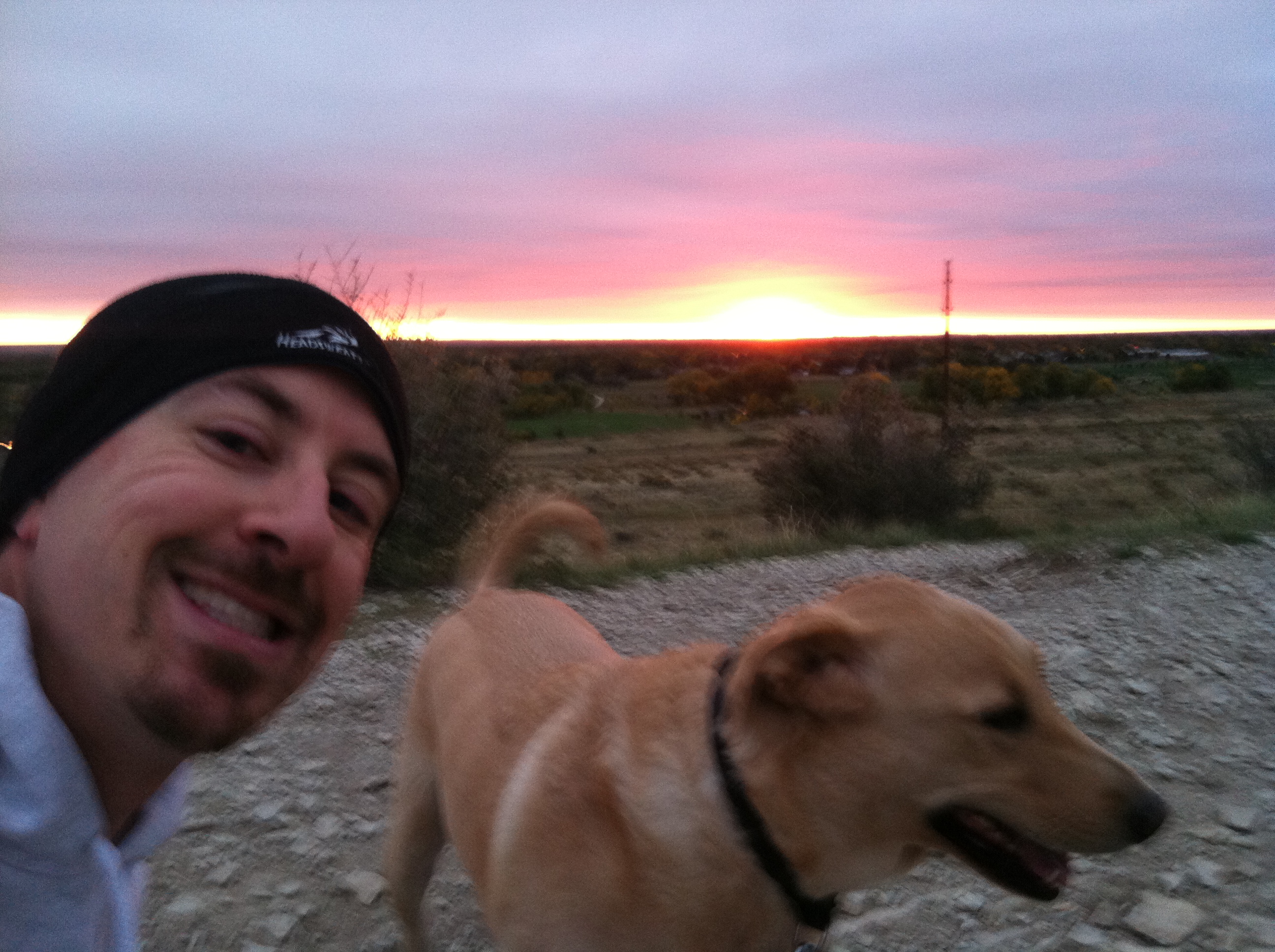 Dog running in Fort Collins